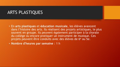 4ème Arts plastiques.jpg