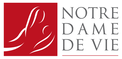 NDV Logo